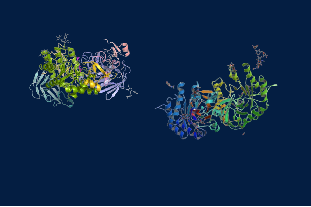 Case Study: Detecting signs of Fabry and Pompe disease in UK clinical data