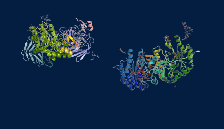 Fabry and Pompe disease